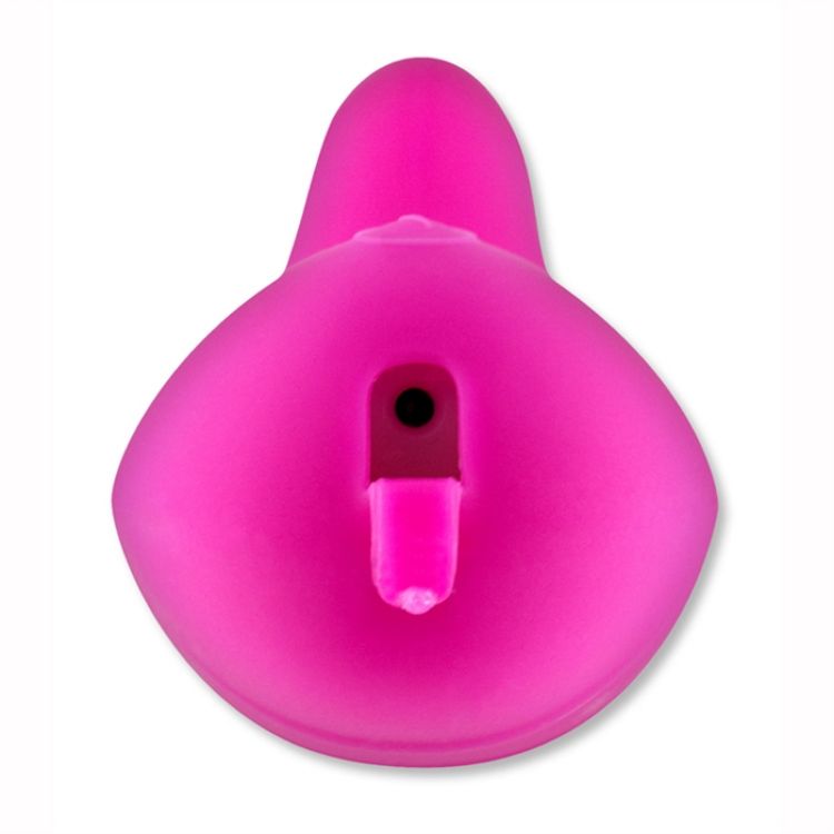 Image de CHANI RECHARGEABLE ROSE