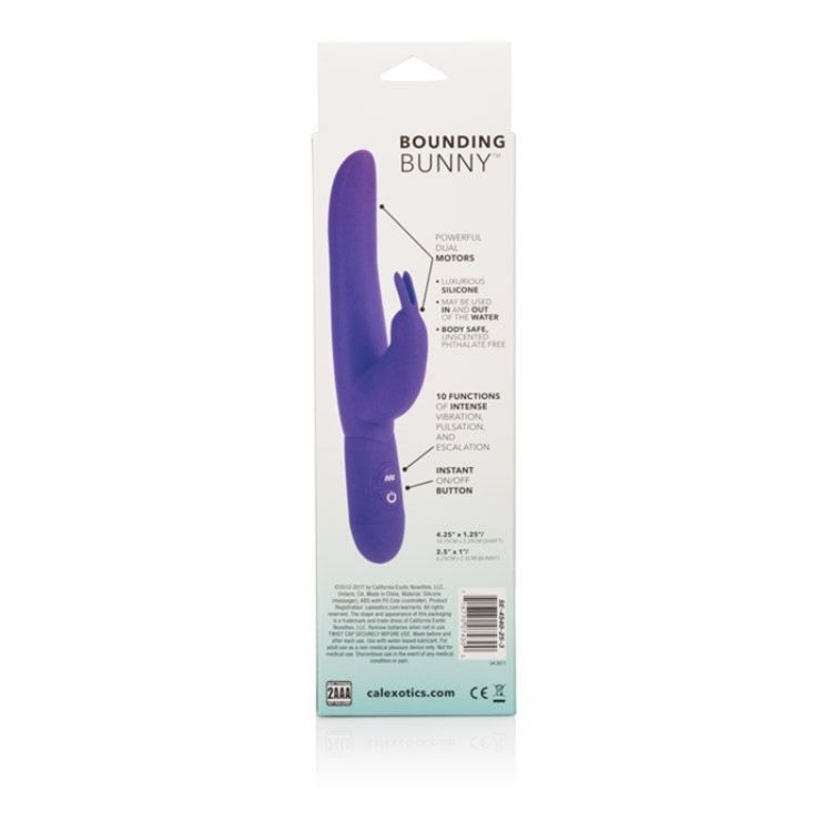 Image de POSH 10 FUNCTION SILICONE BOUNDING BUNNY MAUVE