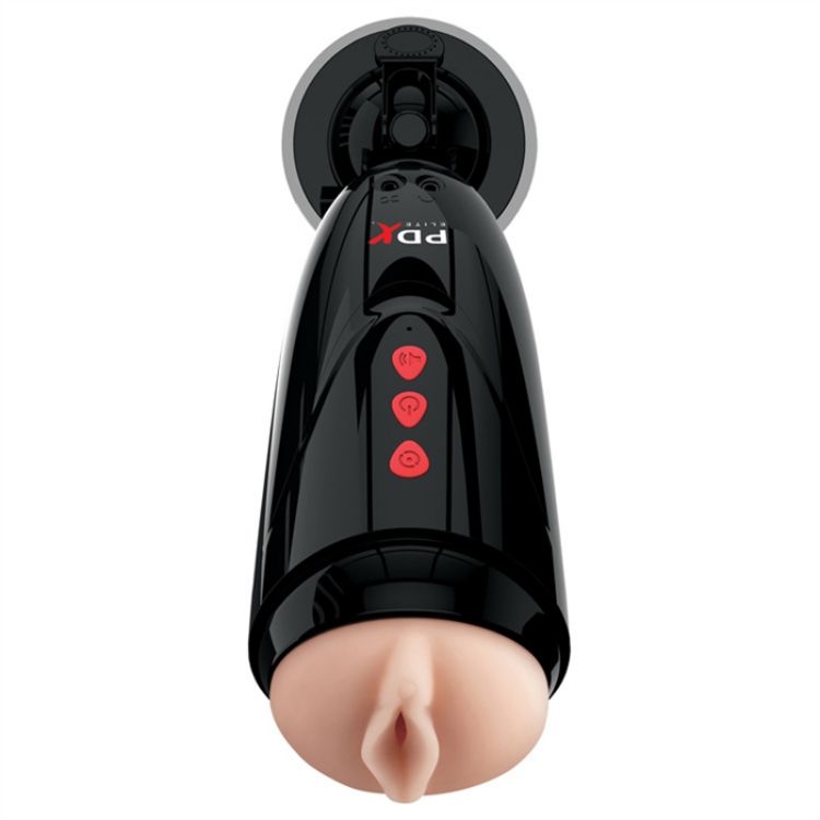 Image de PDX ELITE Dirty Talk Starter Stroker