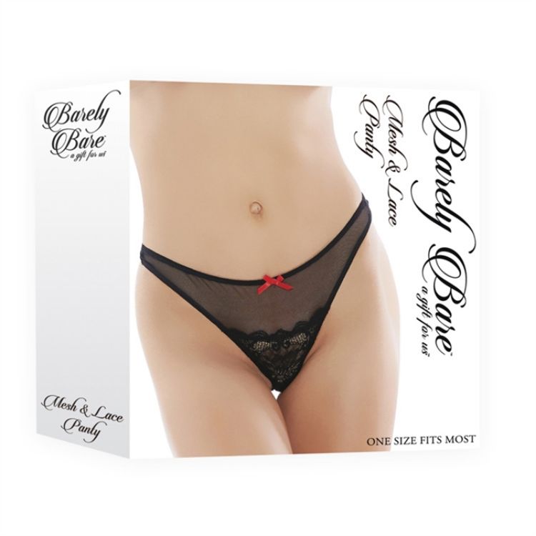 Image de MESH & LACE PANTY