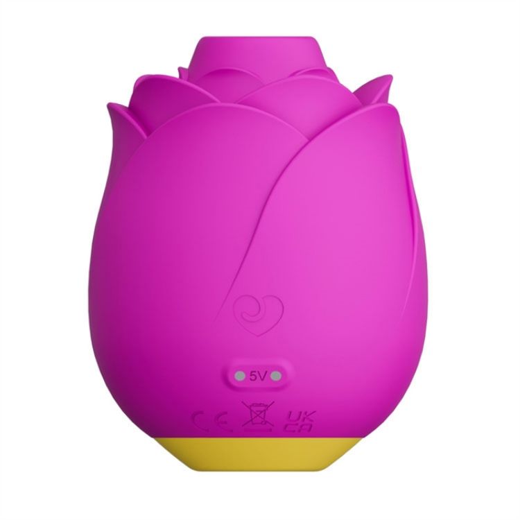 Image de Romp Suction Rose