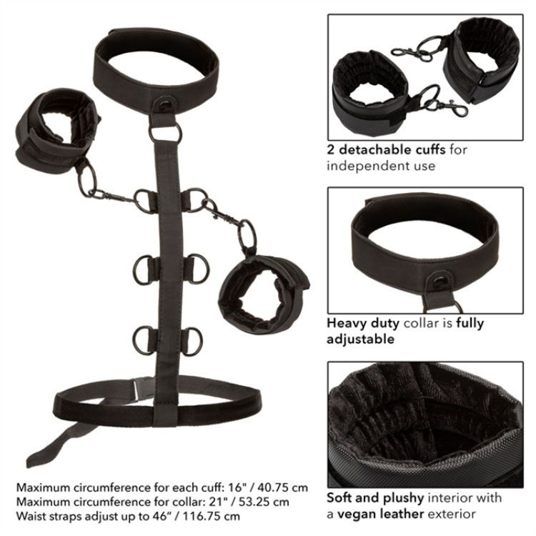 Image de Boundless - Collar Restraint