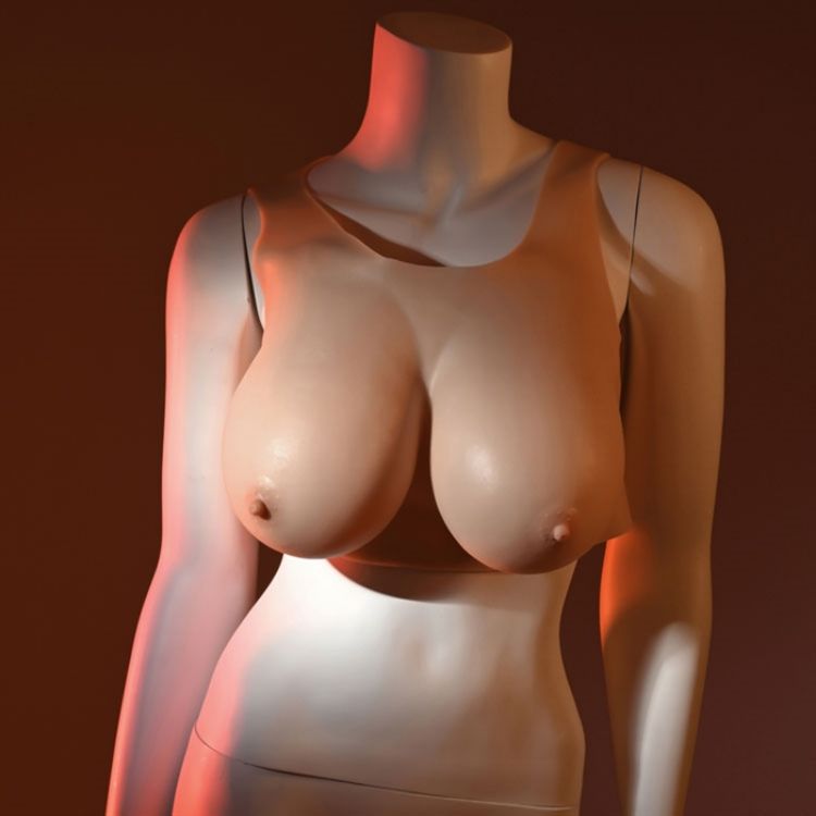 Image de Undergarments - Plate E-Cup - Light