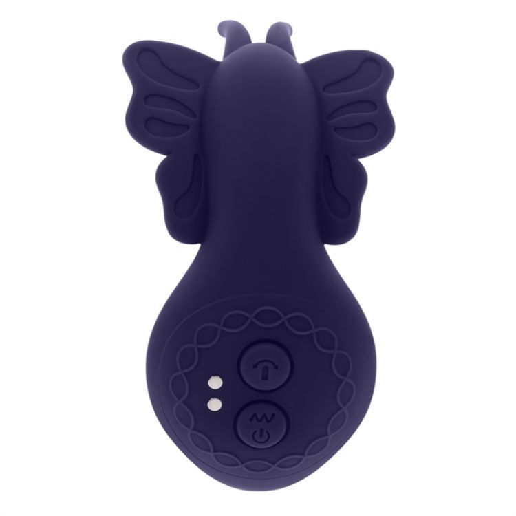 Image de Lord Of The Wings - Silicone Rechargeable - Purple