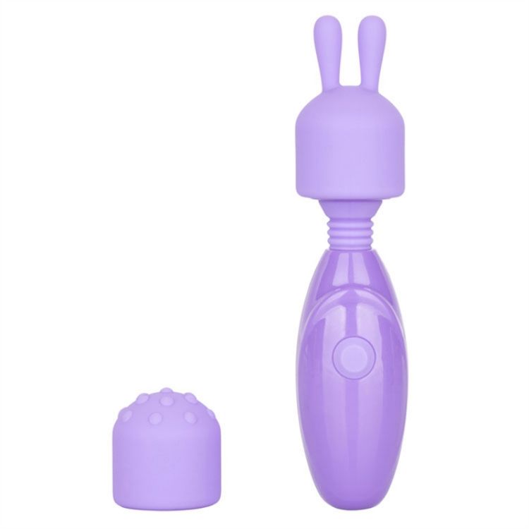 Image de Dr. Laura Berman® Olivia™ Rech. Mini Massager