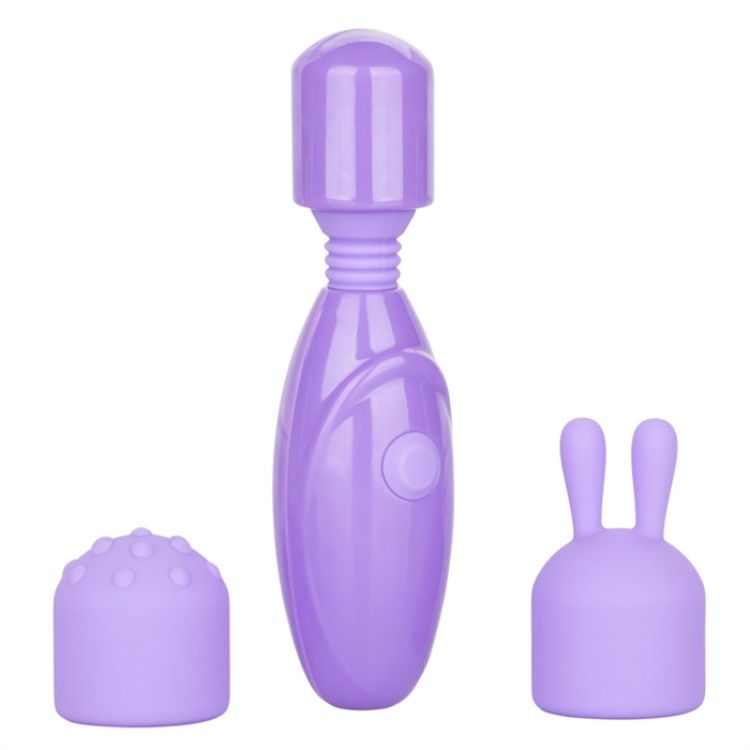 Image de Dr. Laura Berman® Olivia™ Rech. Mini Massager