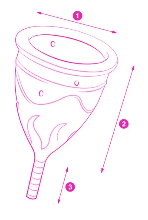 Image de Eve Cup - Femintimate